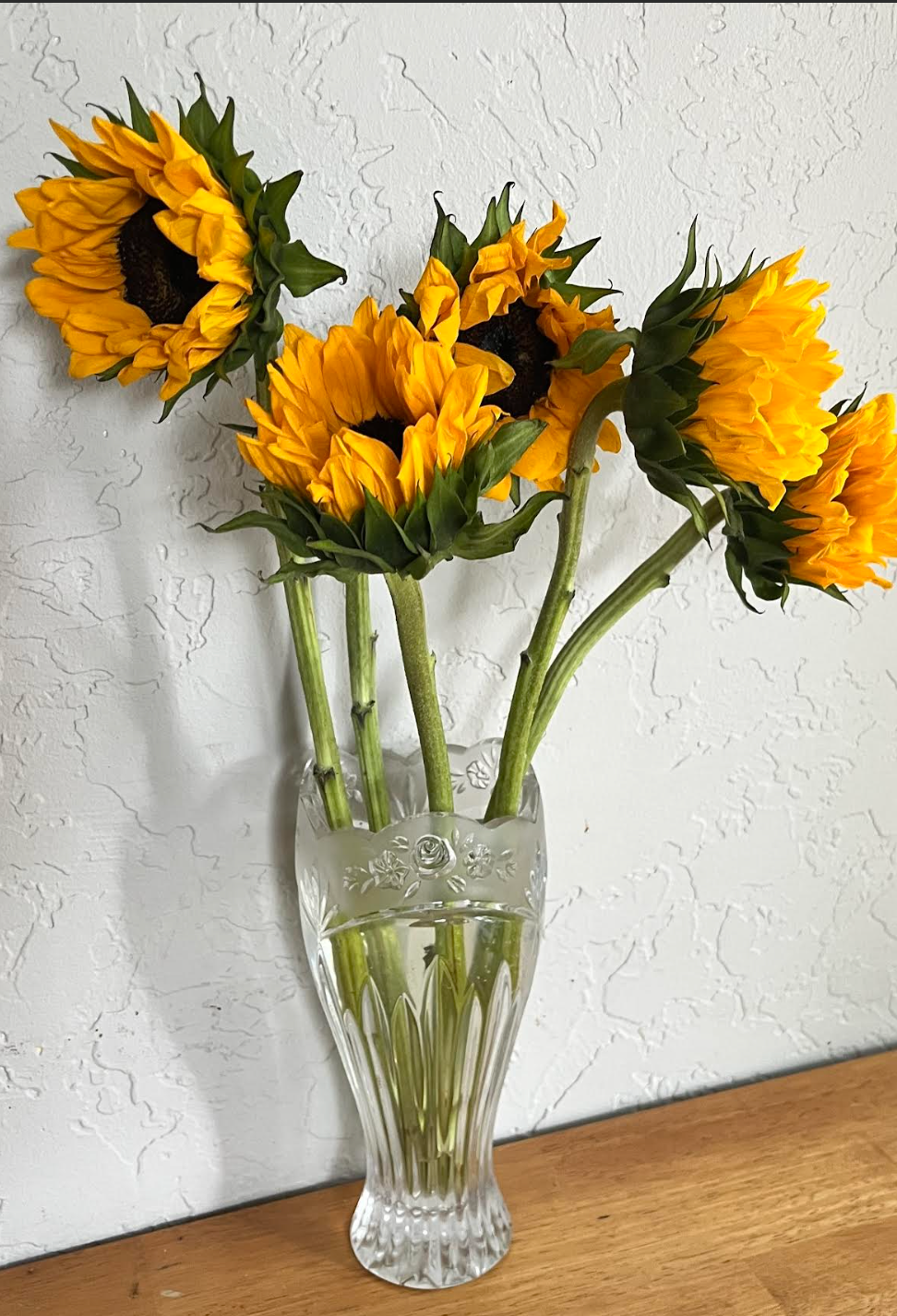 August and Sunflowers
