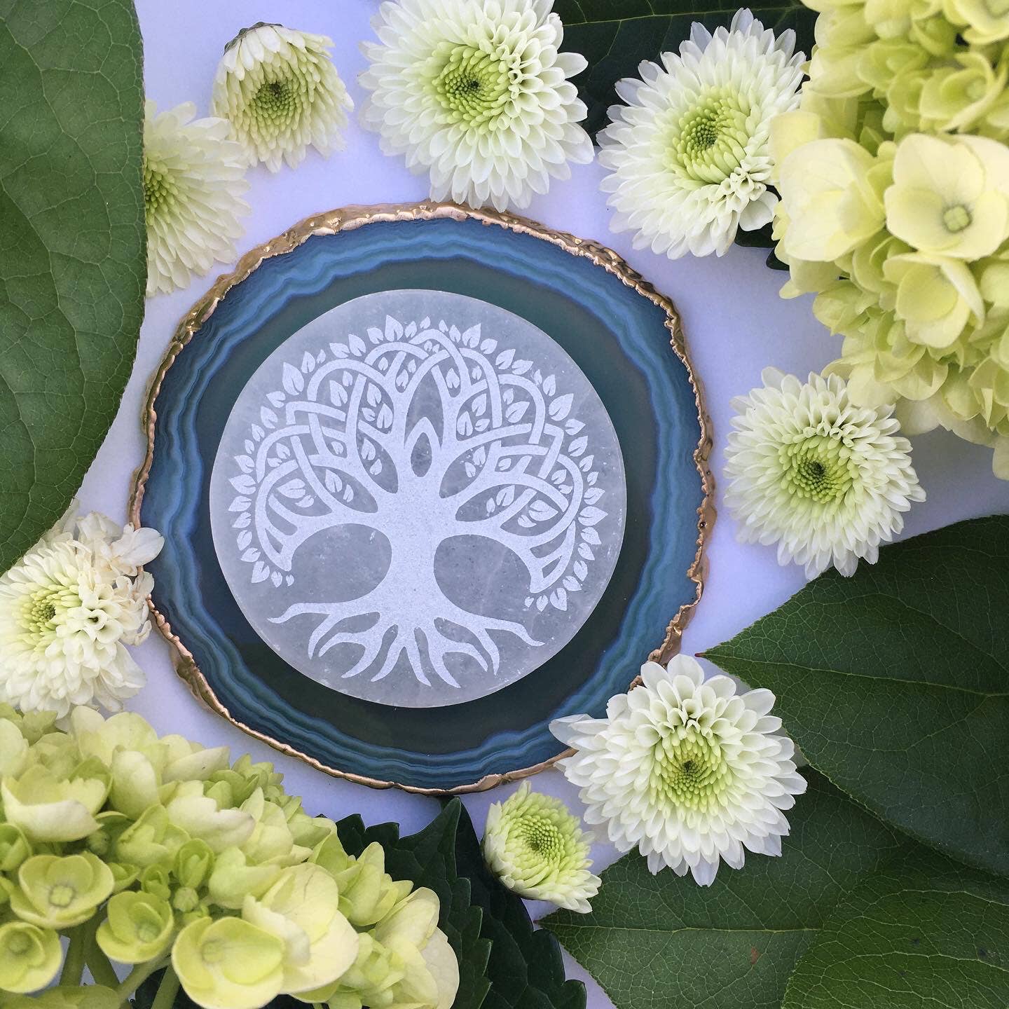 "Tree of Life" Selenite Crystal Disk