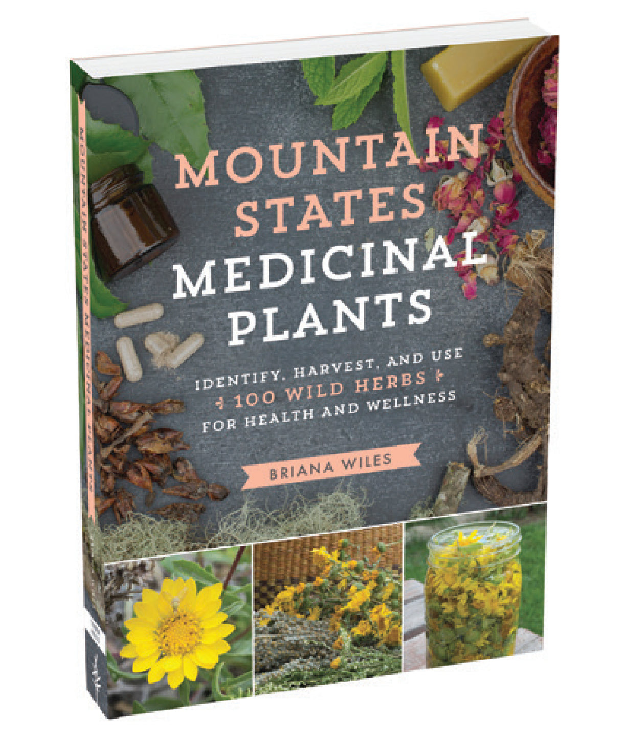 Mountain States Medicinal Plants