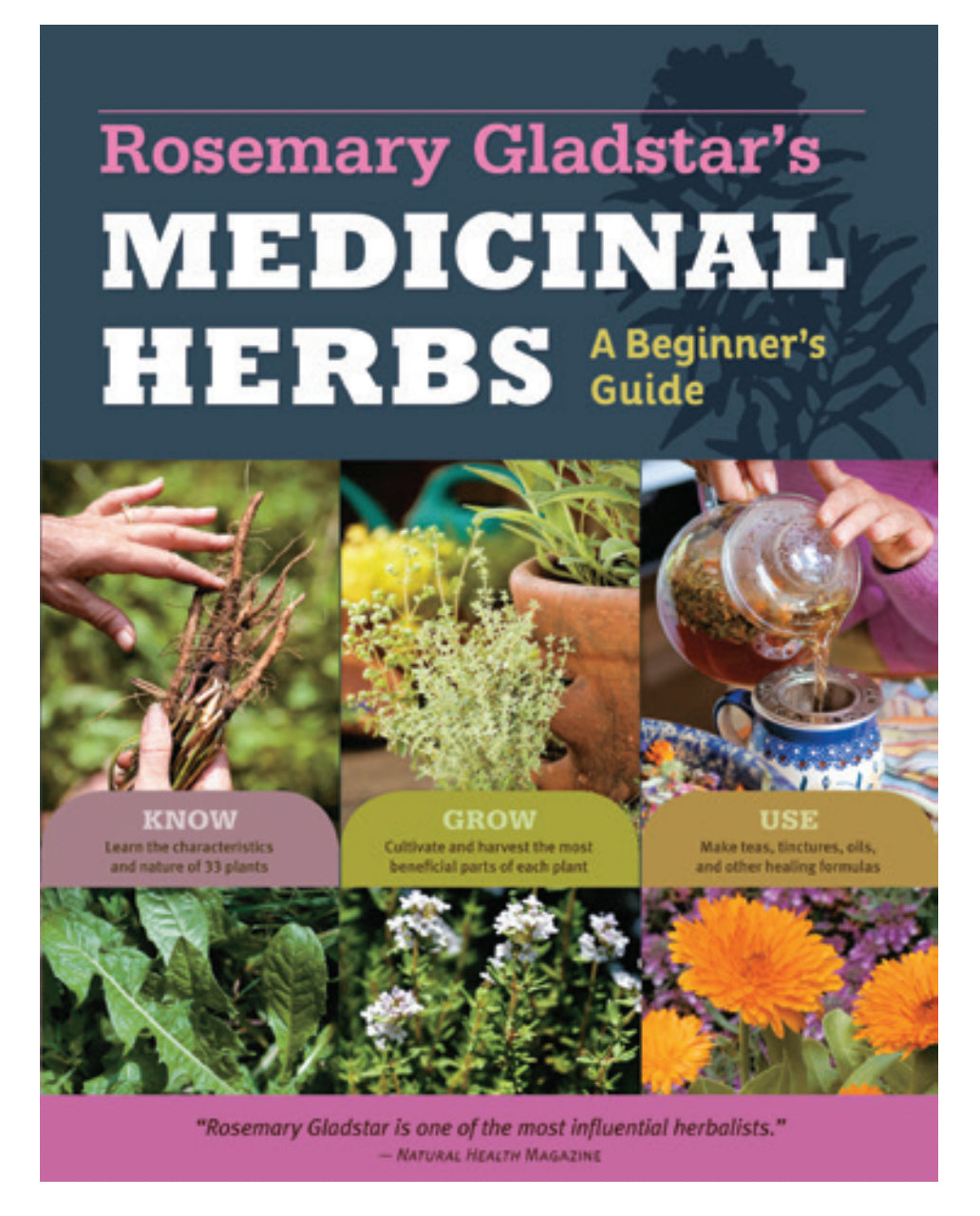 Rosemary Gladstar's Medicinal Herbs: A Beginner's Guide