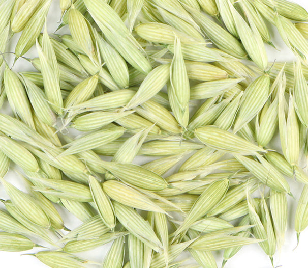Oat Tops (Organic)