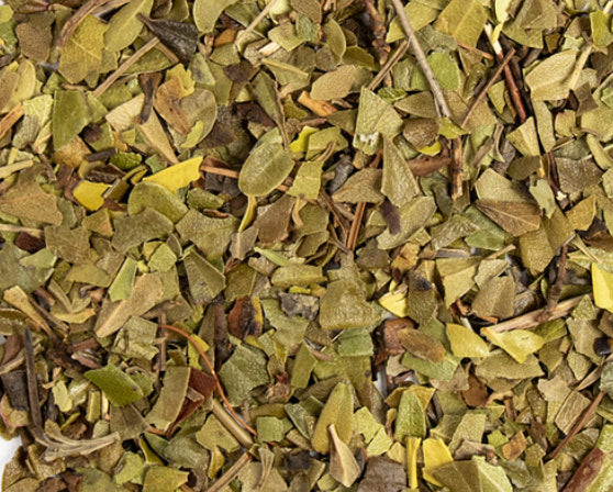Uva Ursi (Organic)