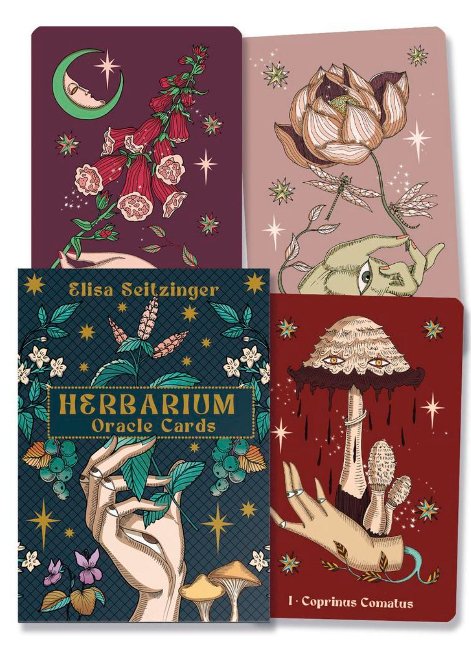 Herbarium Oracle Cards