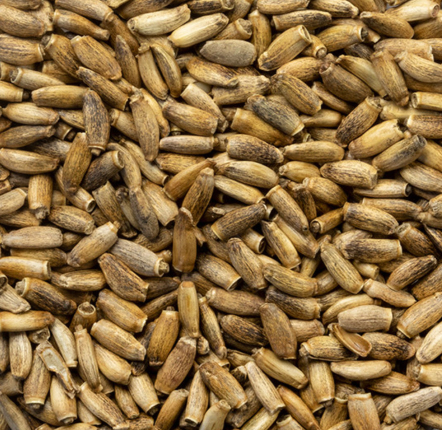 Milk Thistle Seed (Organic)