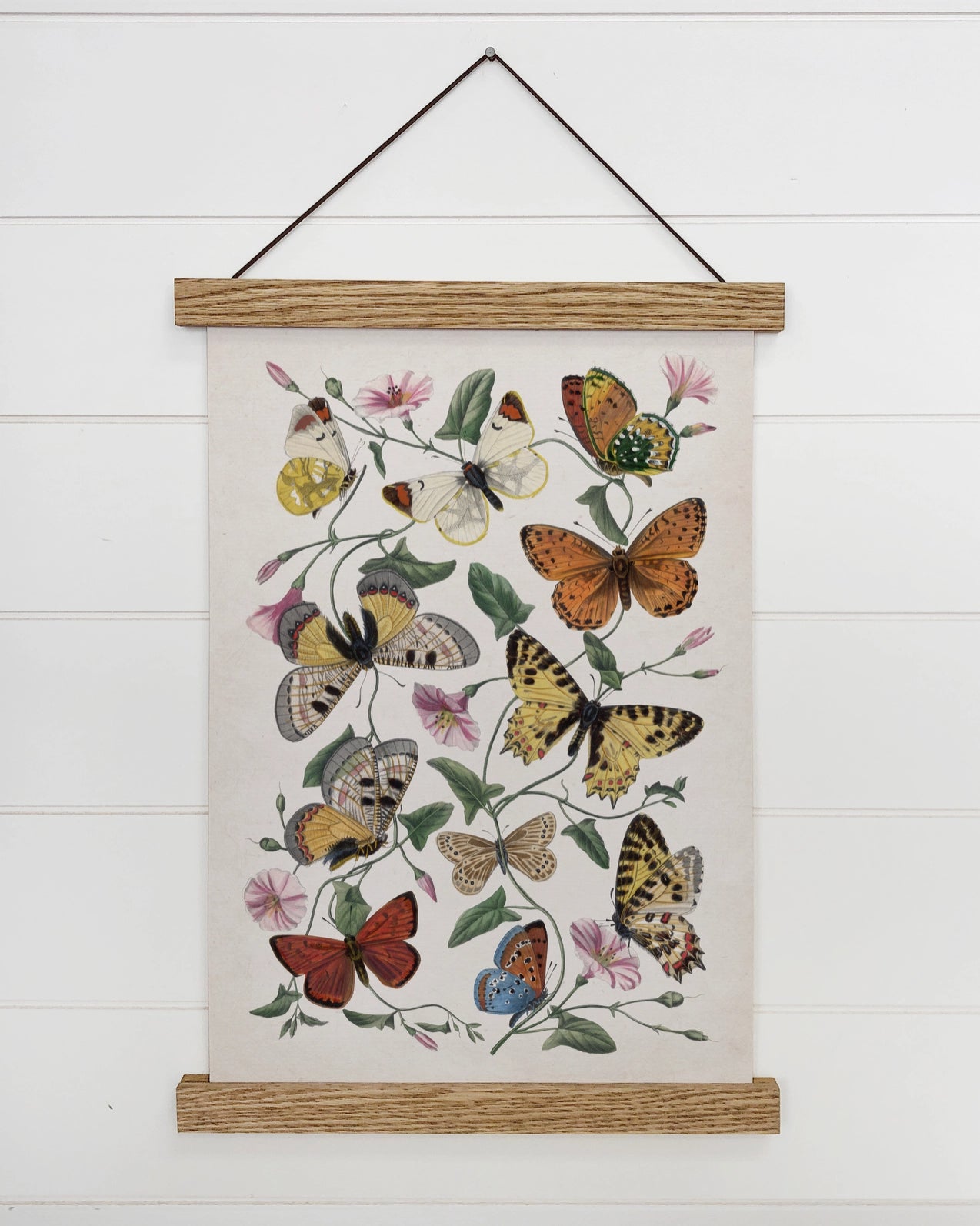 Nature Art Print- Botanical Butterflies Framed Art Print