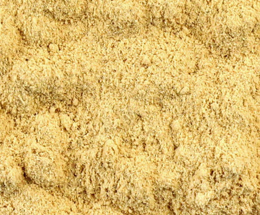 Lion's Mane Powder (Organic)