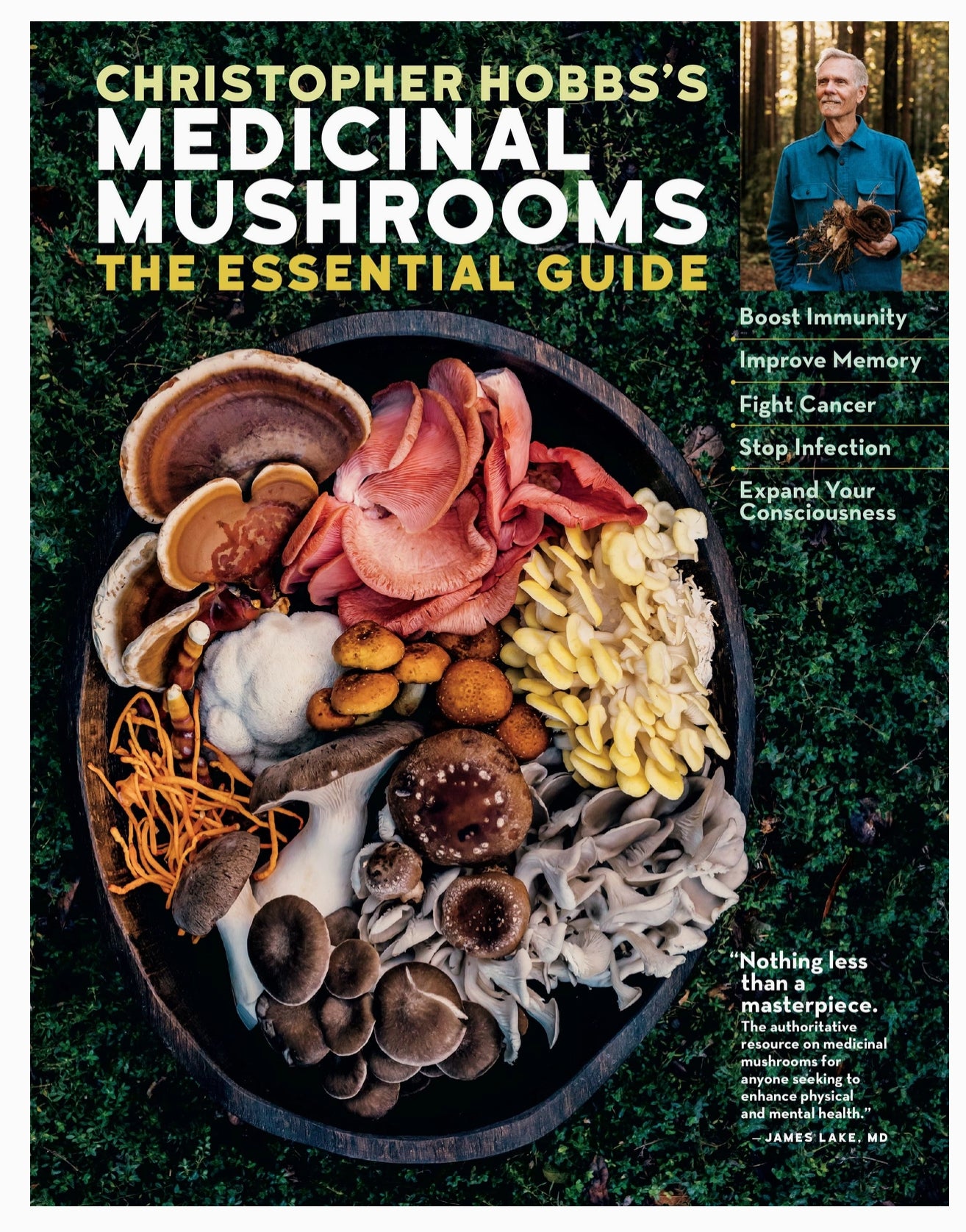 Christopher Hobbs's Medicinal Mushrooms: the Essential Guide