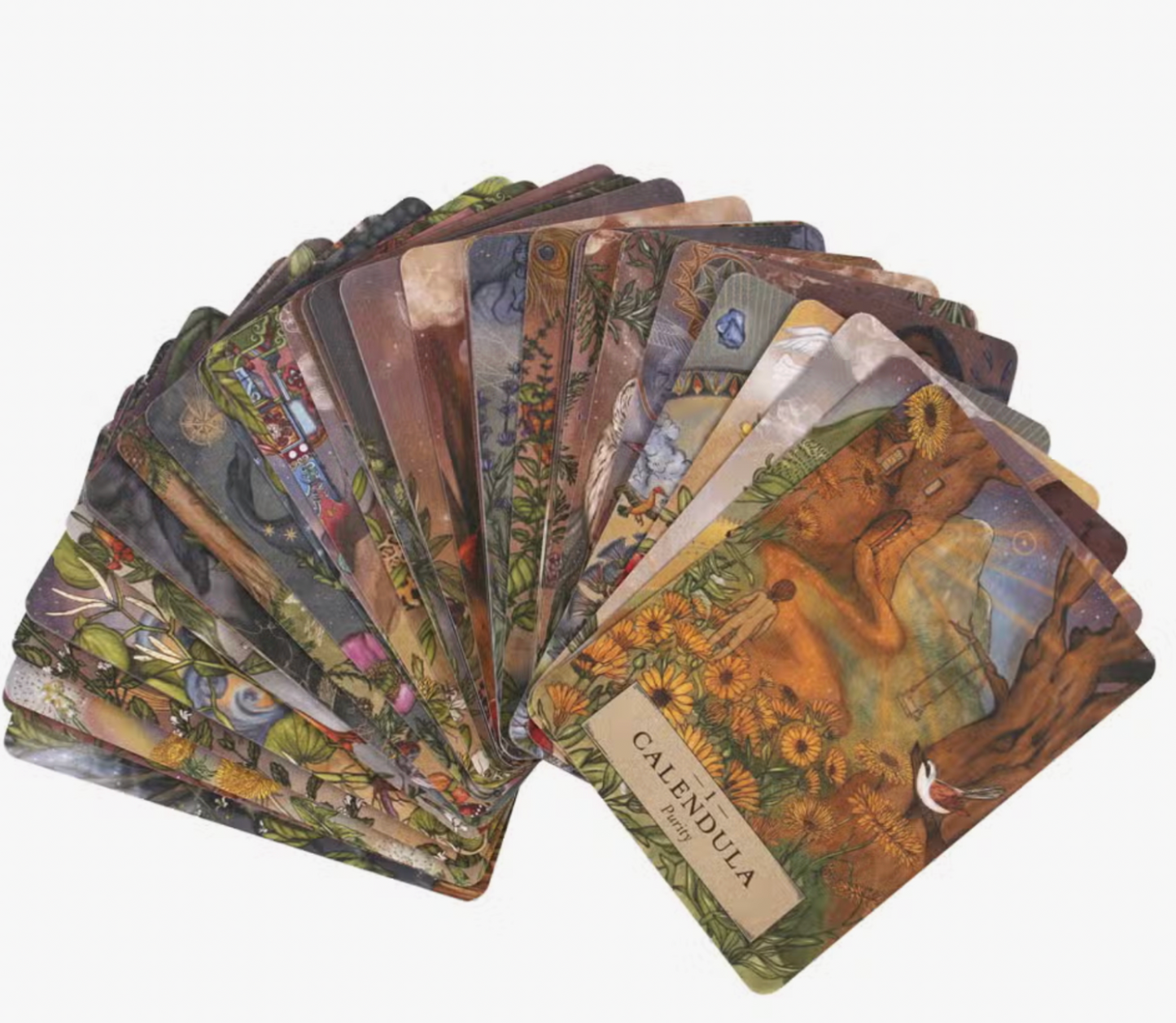 The Herbal Astrology Oracle Cards