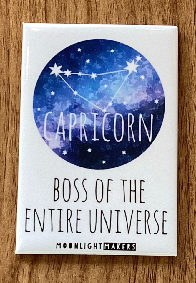 Funny Zodiac Sign Magnets