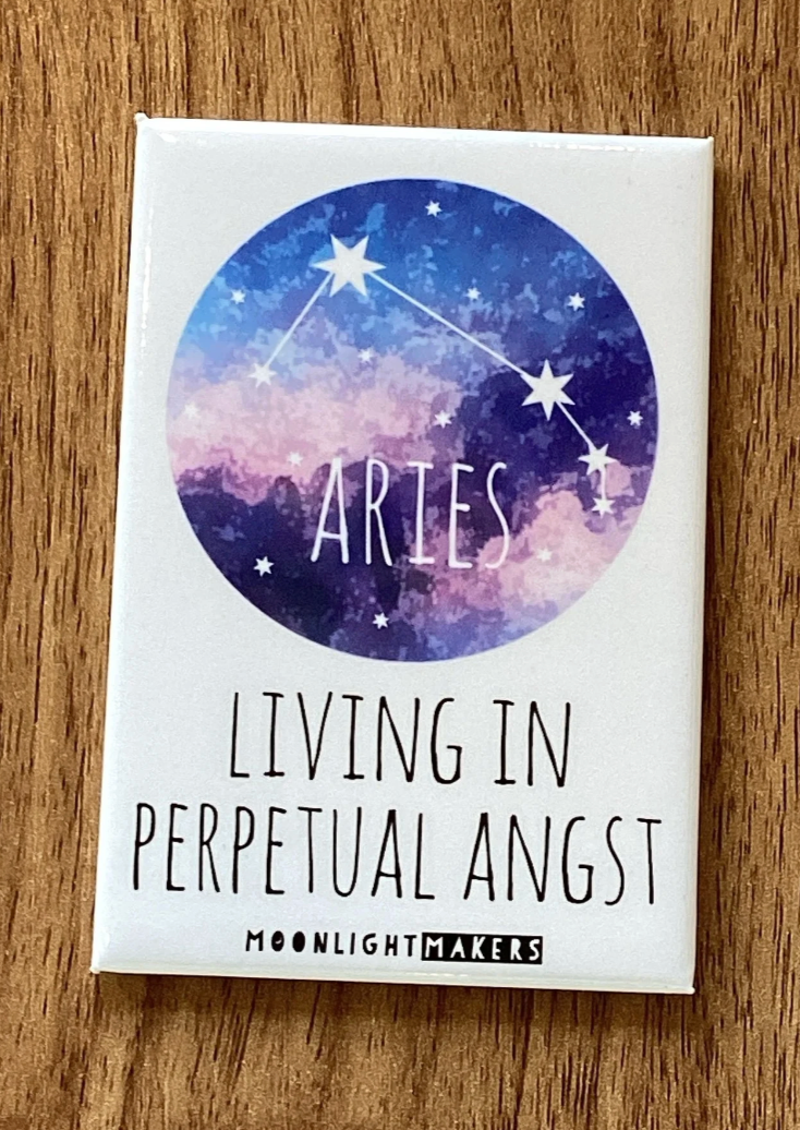 Funny Zodiac Sign Magnets