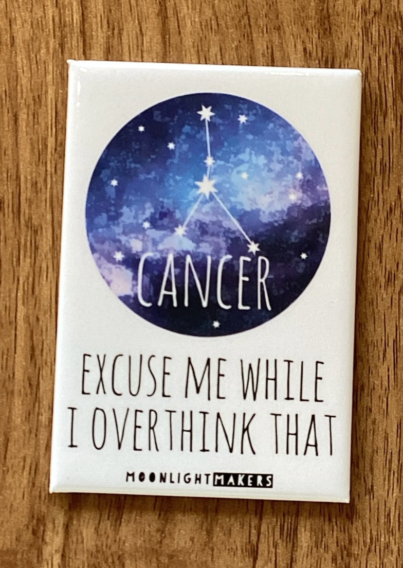 Funny Zodiac Sign Magnets