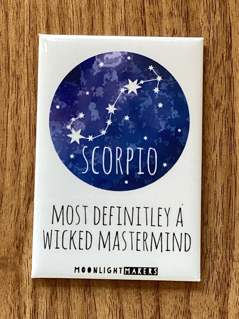 Funny Zodiac Sign Magnets