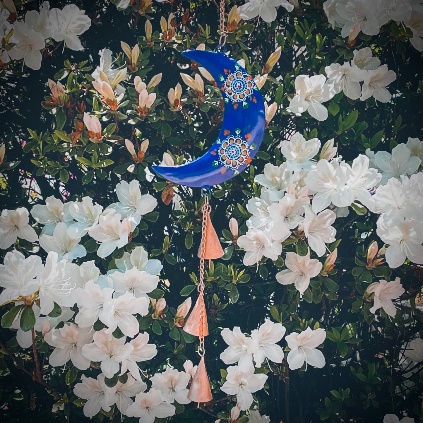 Cosmic Blue Moon