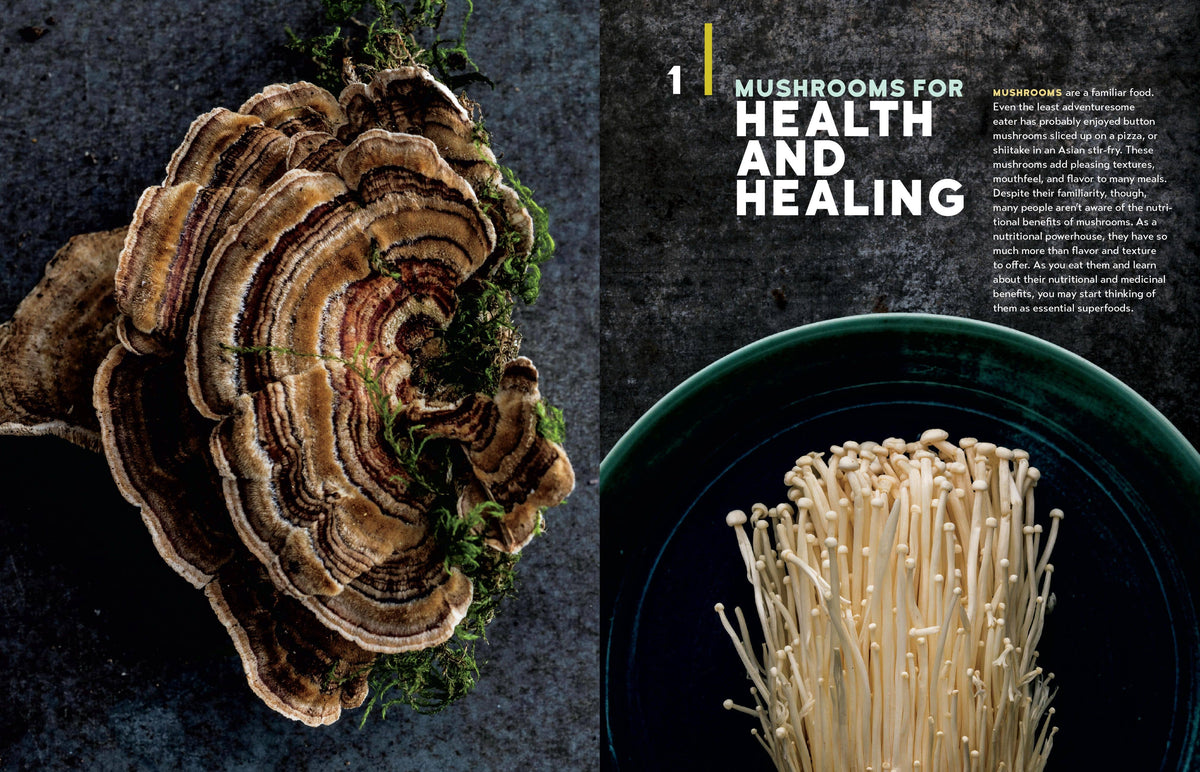 Christopher Hobbs's Medicinal Mushrooms: The Essential Guide