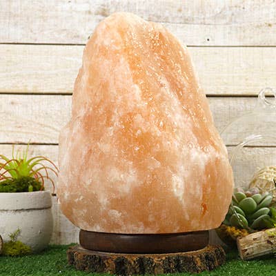 Small Himalayan Salt Crystal Lamp