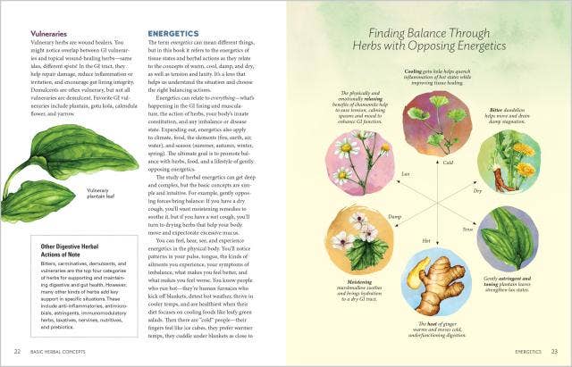 Herbal Gut Health