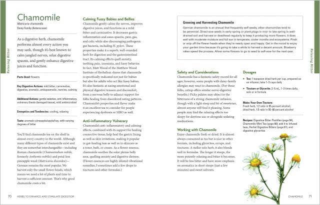 Herbal Gut Health