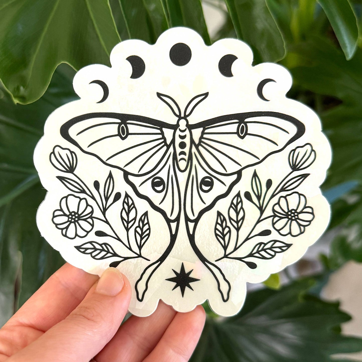 Luna Moth Suncatcher Sticker | Rainbow Window Decal