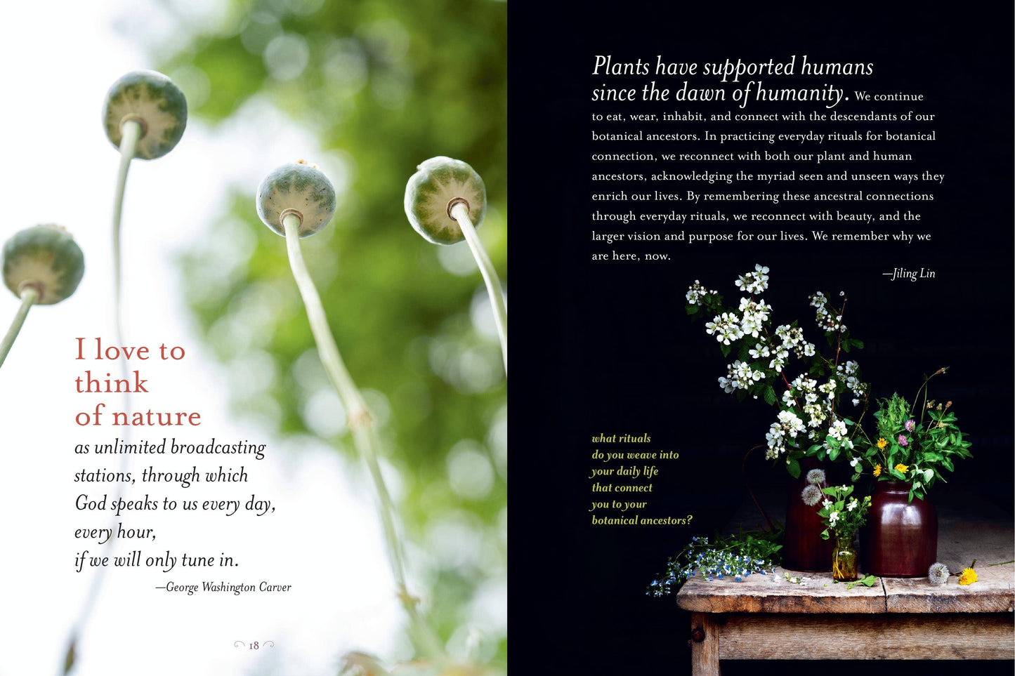 The Generosity Of Plants