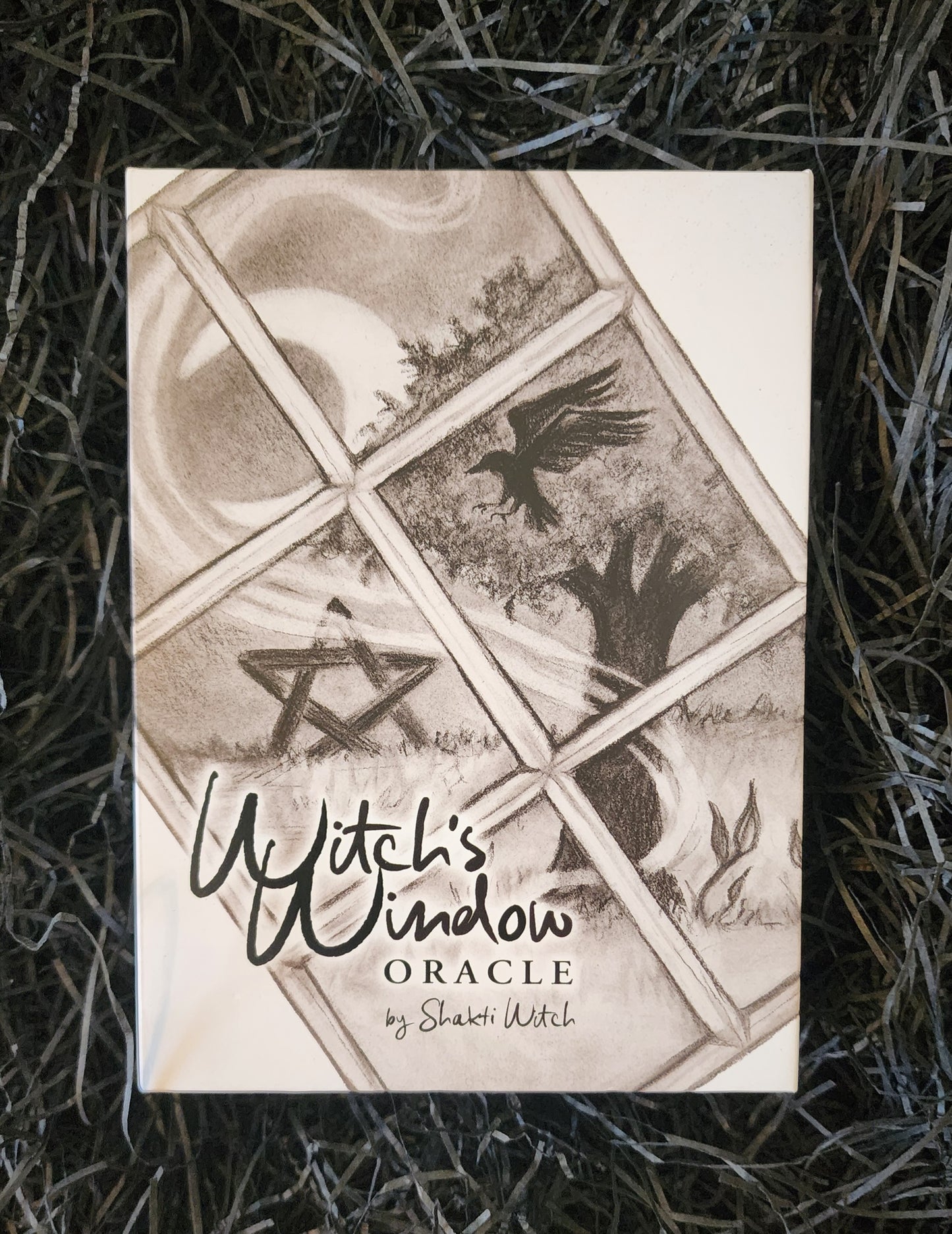 5/30 Meet the Creatrix of Witch's Window Oracle Deck