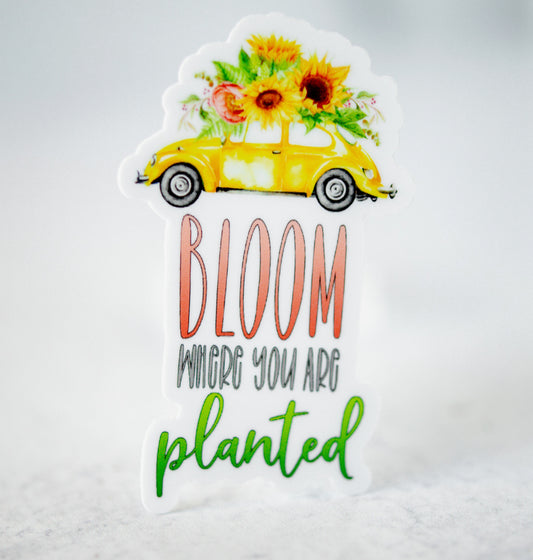 Bloom Buggy Where You Are Planted, Vinyl Sticker, 3x3 in.