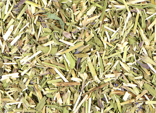 Hyssop (Organic)
