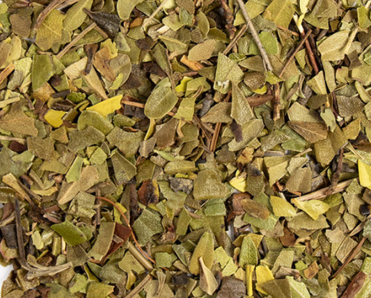 Uva Ursi (Organic)