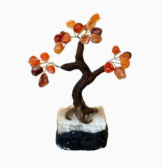 Feng Shui Money Tree - Carnelian