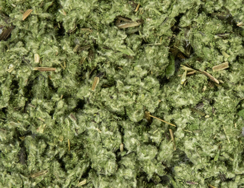 Mugwort (Organic)