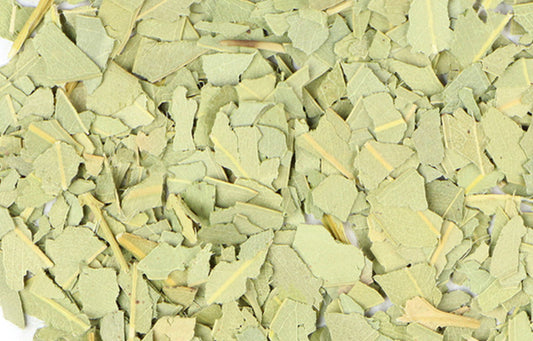 Eucalyptus (Organic)