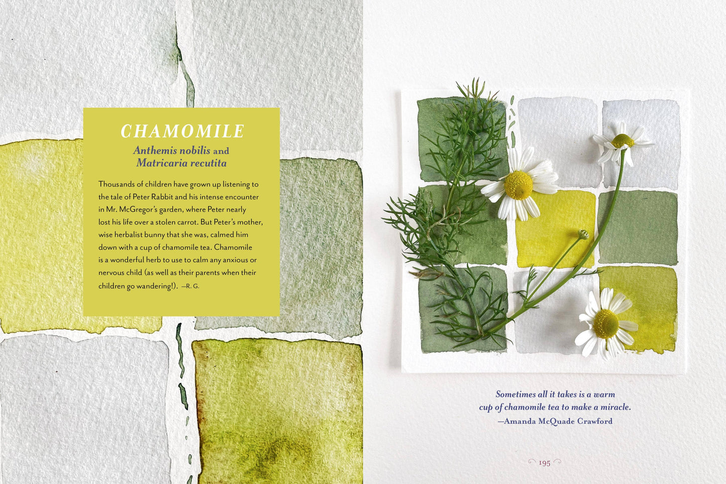 The Generosity Of Plants