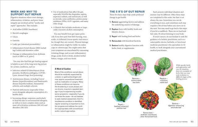 Herbal Gut Health