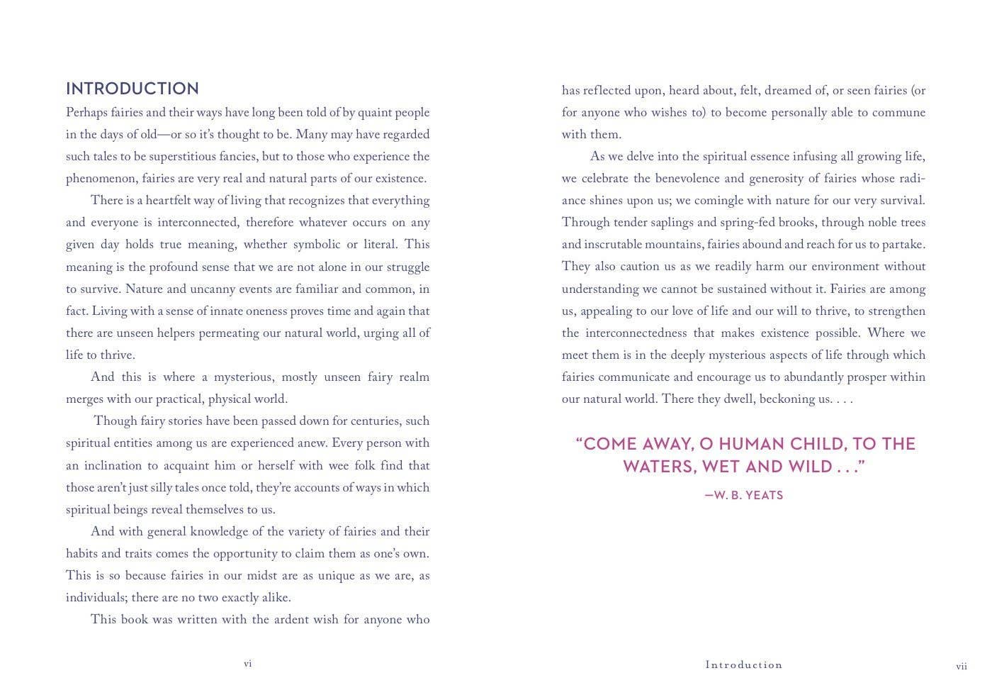 A Little Bit of Fairies by Elaine Clayton