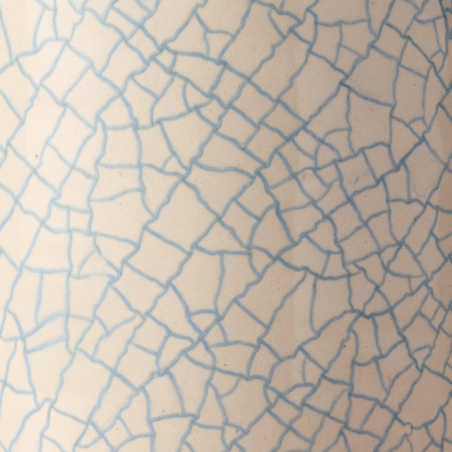 Ciya Blue Crackle Mug