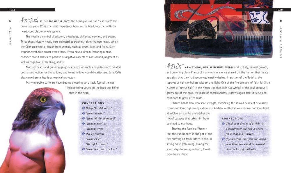 The Dream Bible