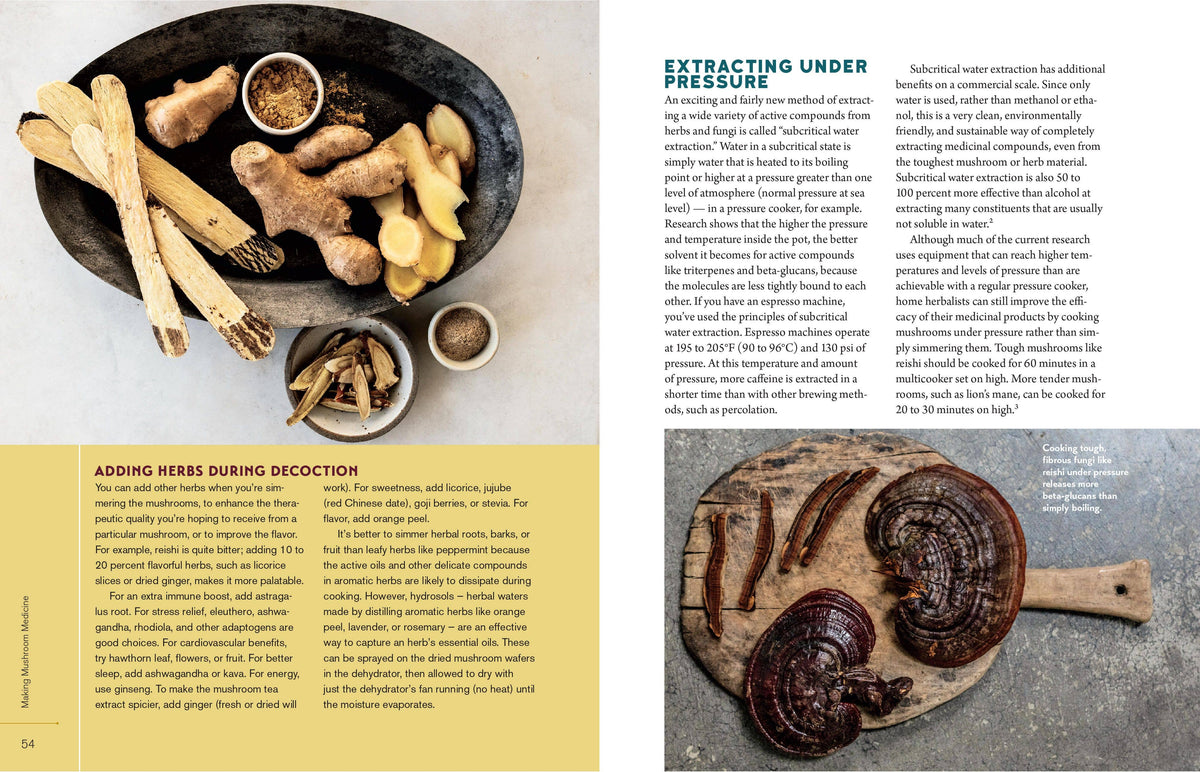 Christopher Hobbs's Medicinal Mushrooms: The Essential Guide