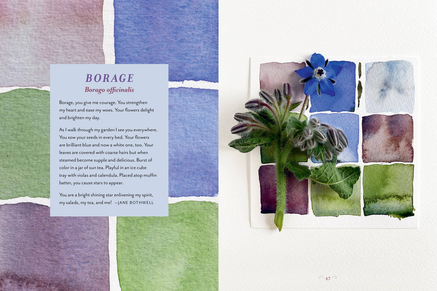 The Generosity Of Plants