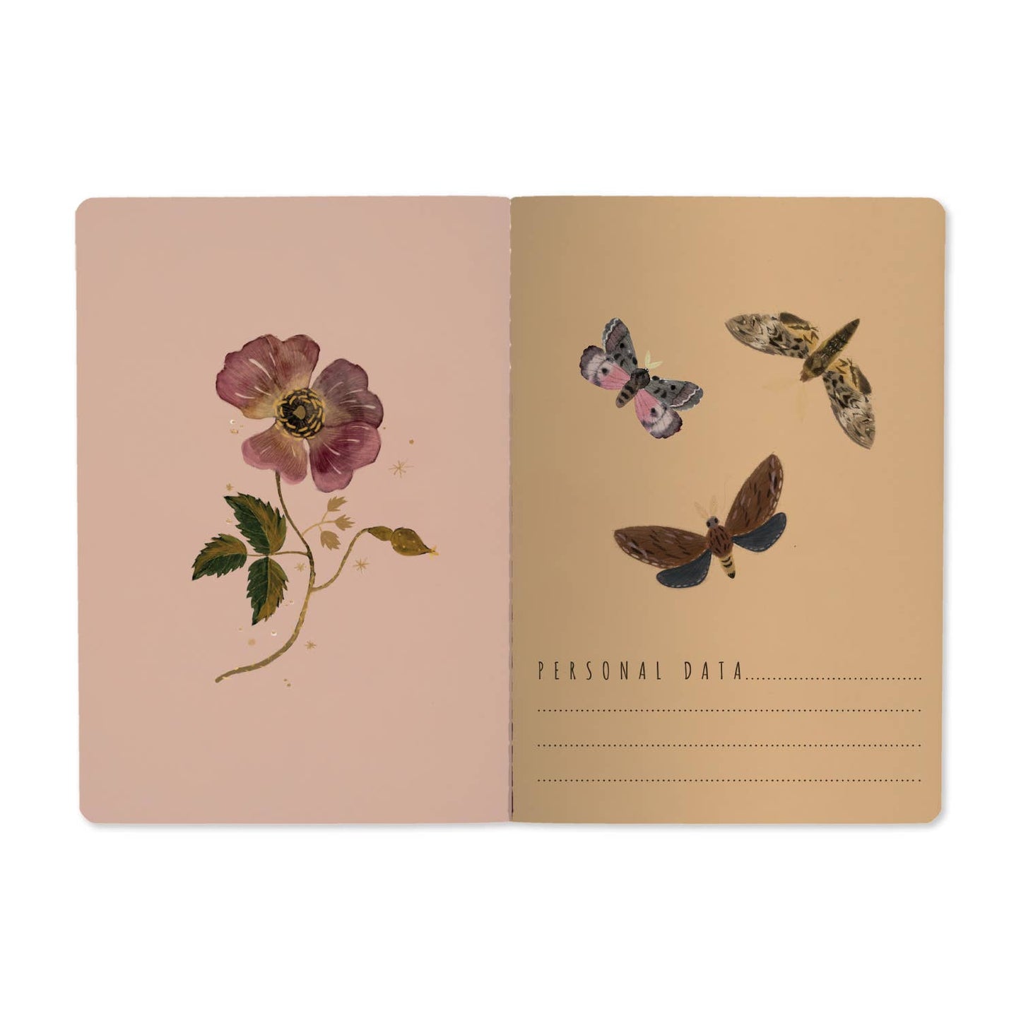 Notebook -  Butterflies and Night Flowers