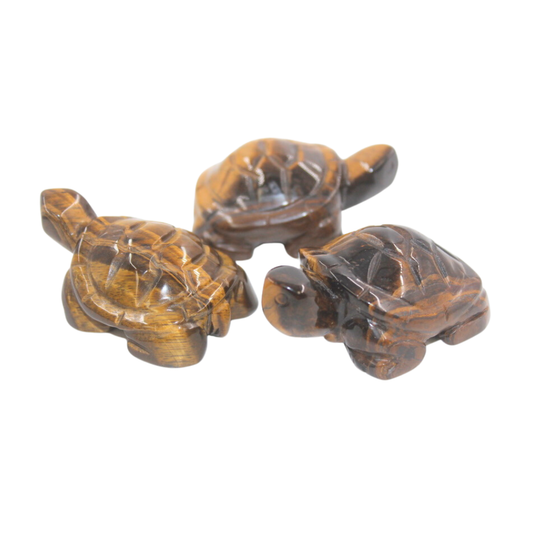 Crystal Turtle - Tiger's Eye Large