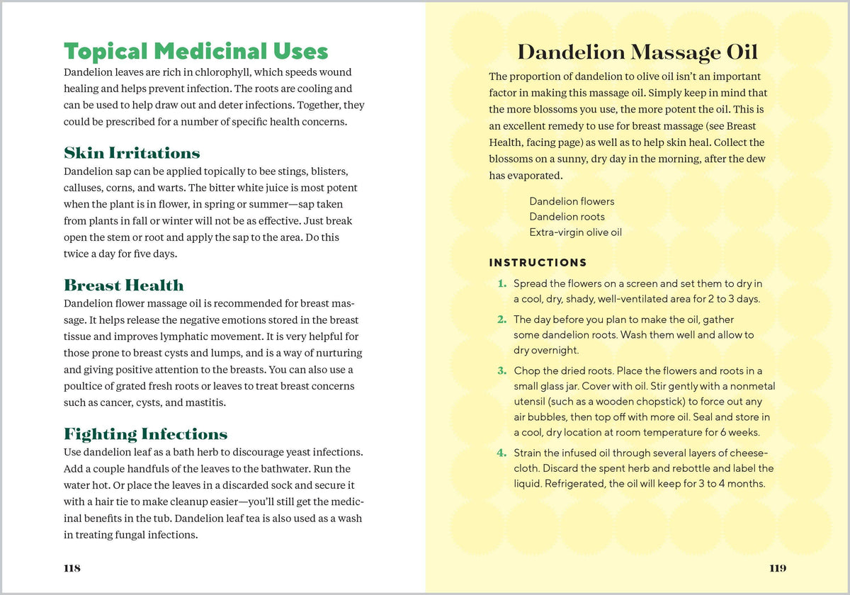 Dandelion Medicine