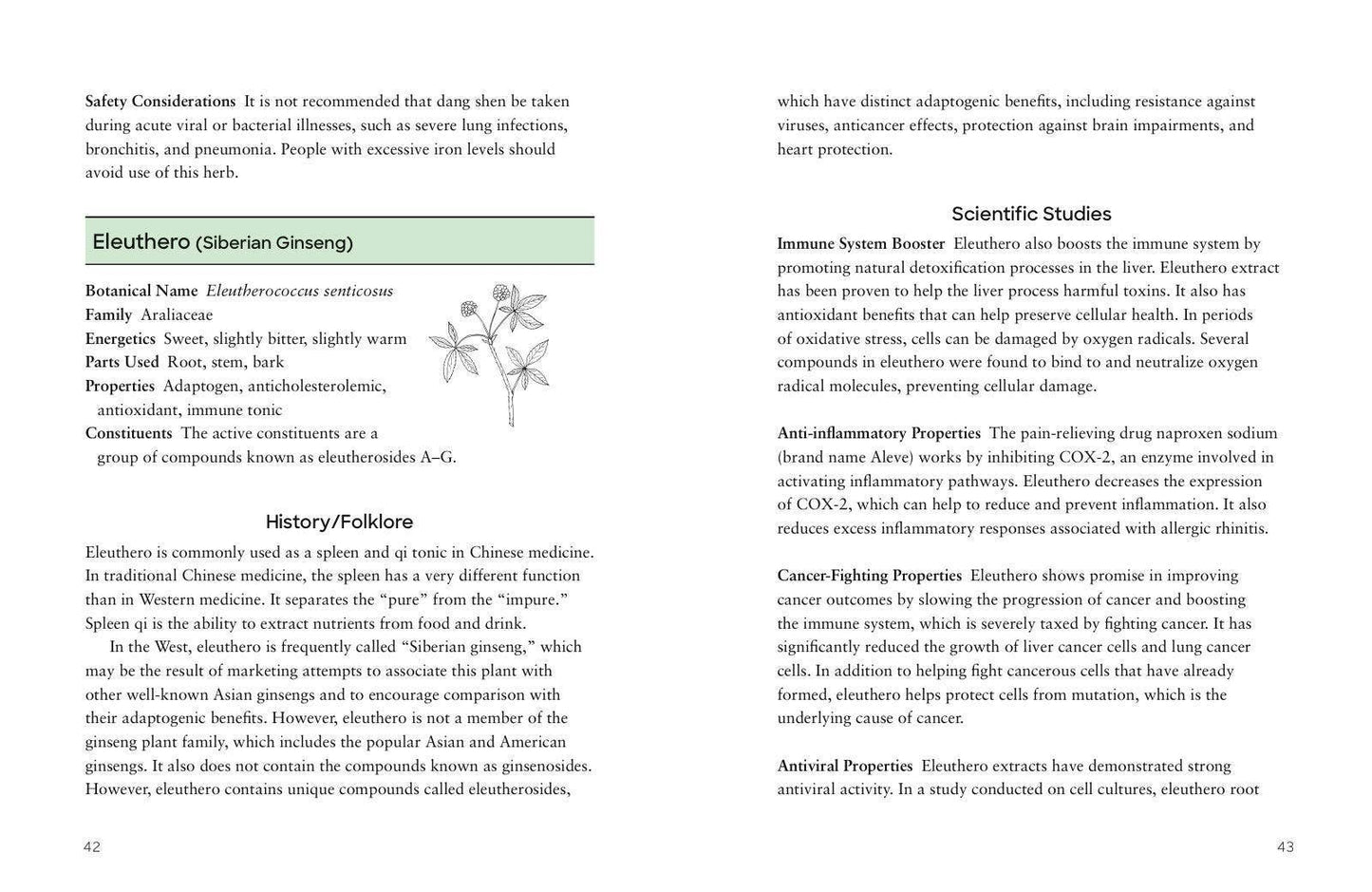 Adaptogens by Adriana Ayales